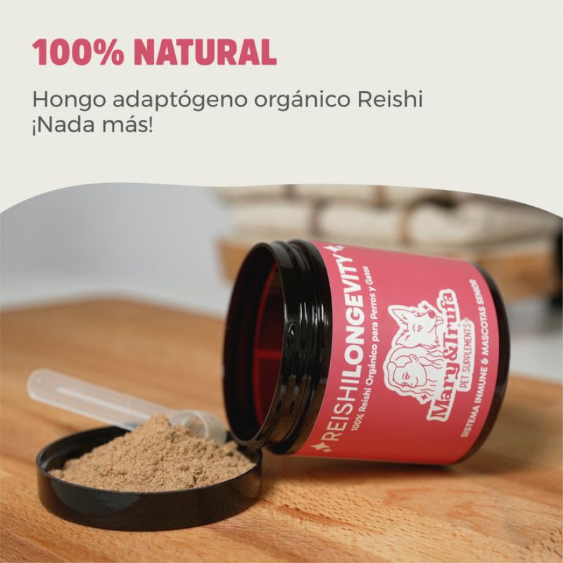 Reishi Longevity 75g - mary & trufa 3 Reishi Longevity 75g - mary & trufa 3