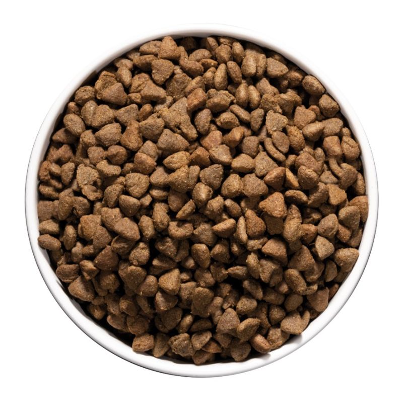ownat just grain free hipoalergénico pescado gato grano pienso