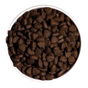 ownat just grain free salmon perros