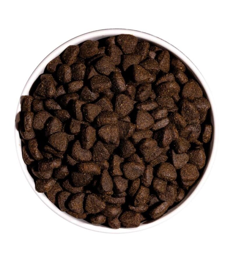 ownat just grain free salmon perros