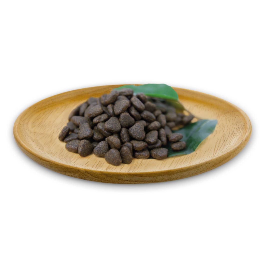 pienso perro natural greatness salmon 1