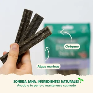 stick dental fuera placa 2