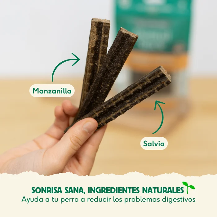 wild balance stick dental estomagos sensibles 2